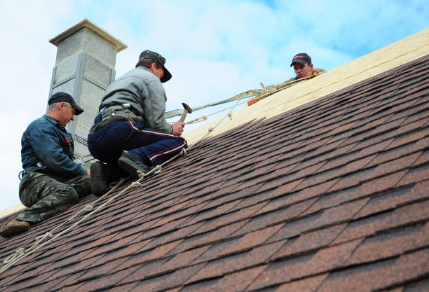 Quick and Trustworthy Emergency Roof Repair Services in Rolla, MO